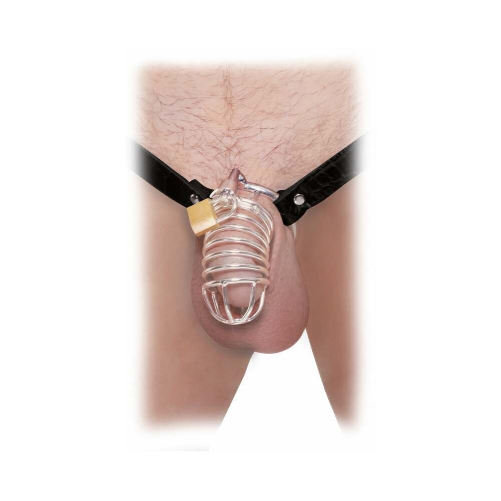 Fetish Fantasy Extreme Extreme Chastity Belt Locking Cock Cage Silver/Black – alternate view 1