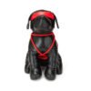Prowler RED Roped Up Rover L