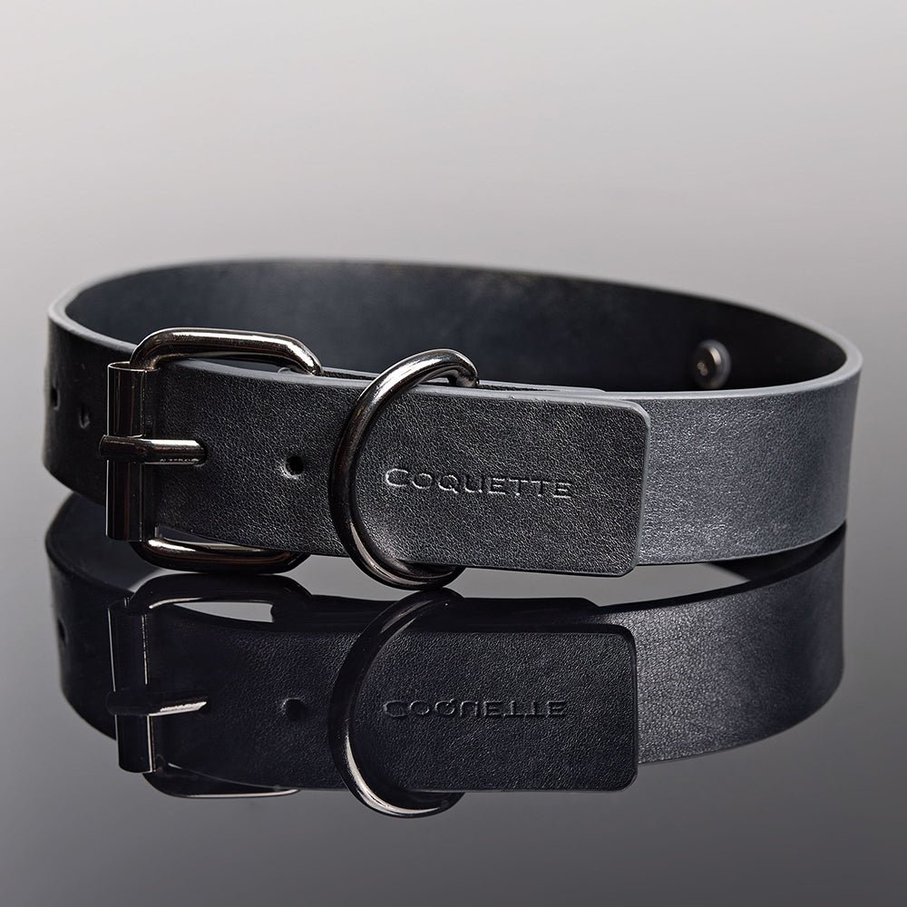 Coquette Pleasure Collar & Leash Grey - Image 4