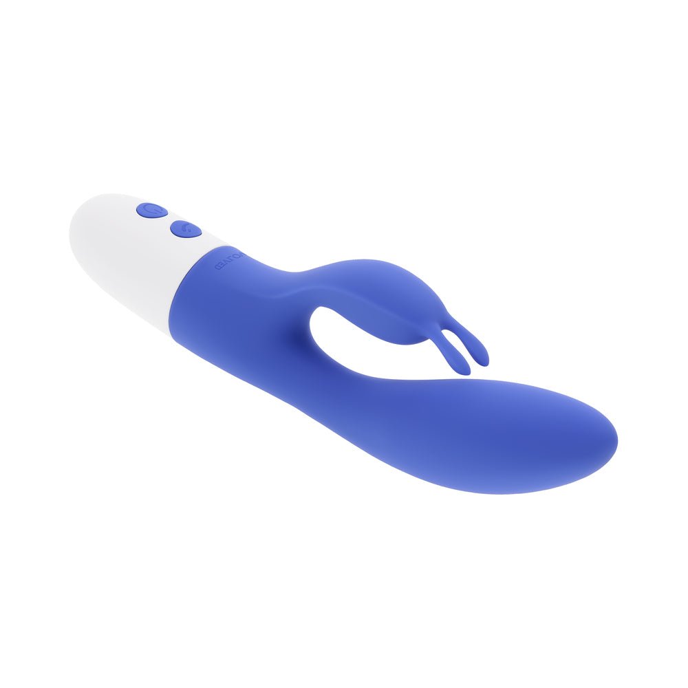 Evolved Funny Bunny Blue - Image 7