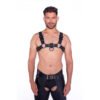 Prowler RED Bull Harness Black with Metal Fittings 2XL