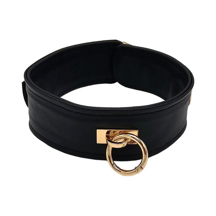 Rouge Leather Plain Collar Black with Gold Accessories