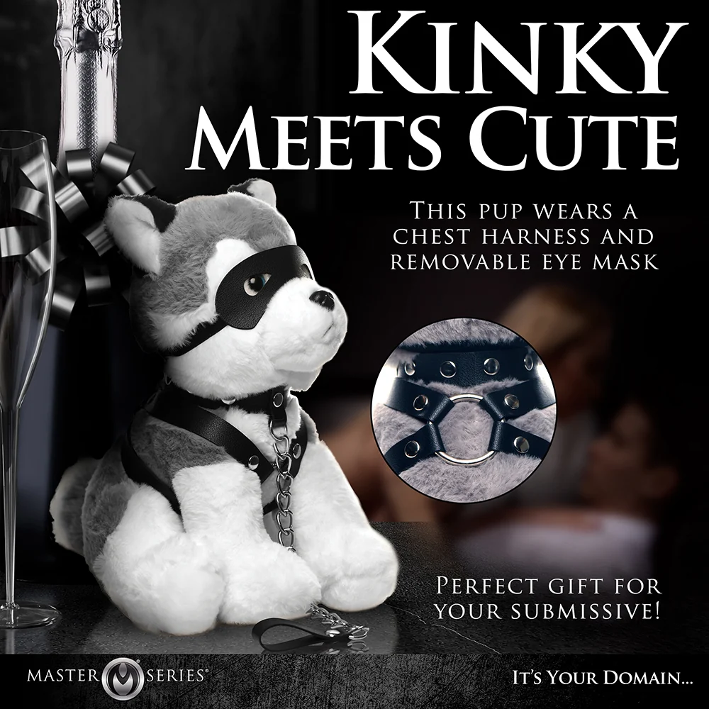 Master Series Max the Fetish Pup - Image 7