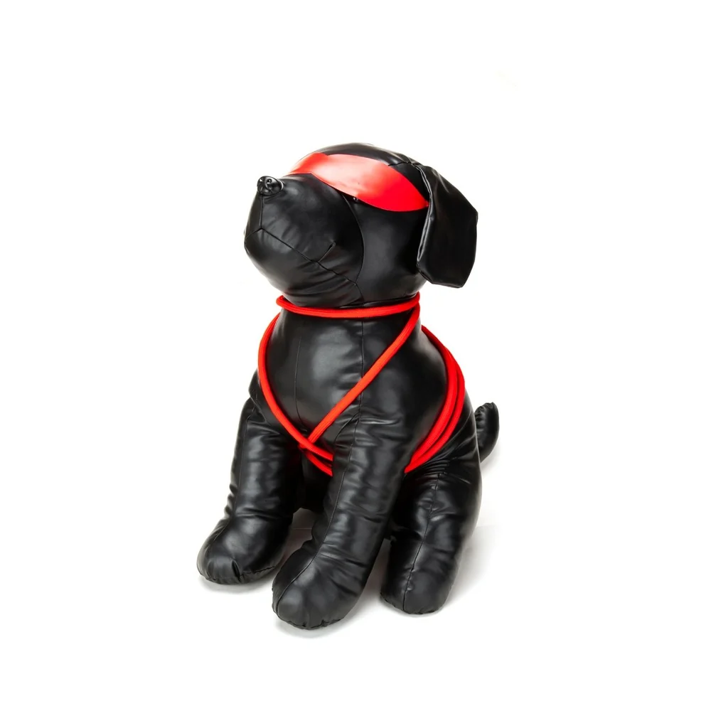 Prowler RED Roped Up Rover L - Image 6